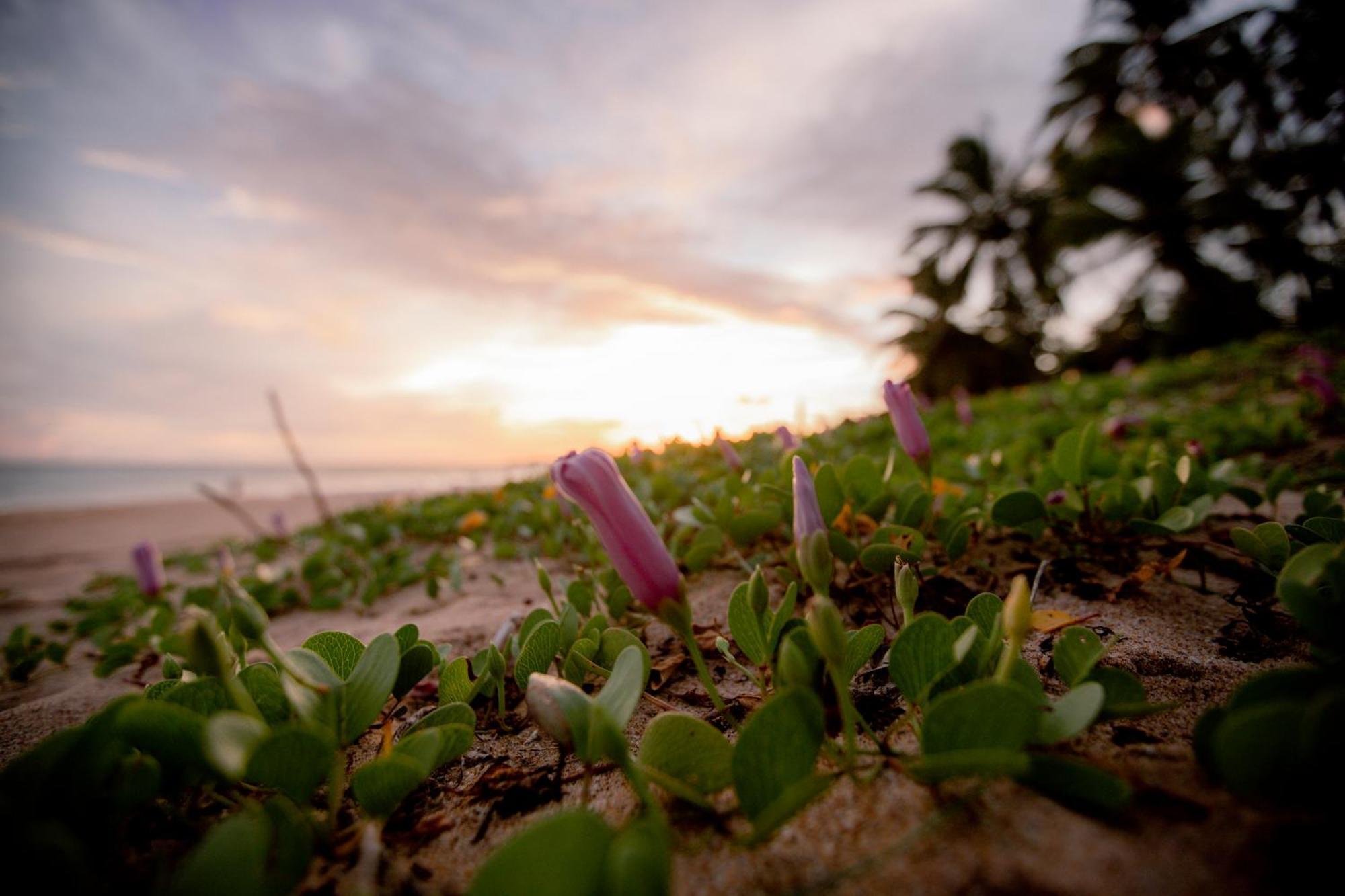 Helios Beach Resort Tangalle Zewnętrze zdjęcie