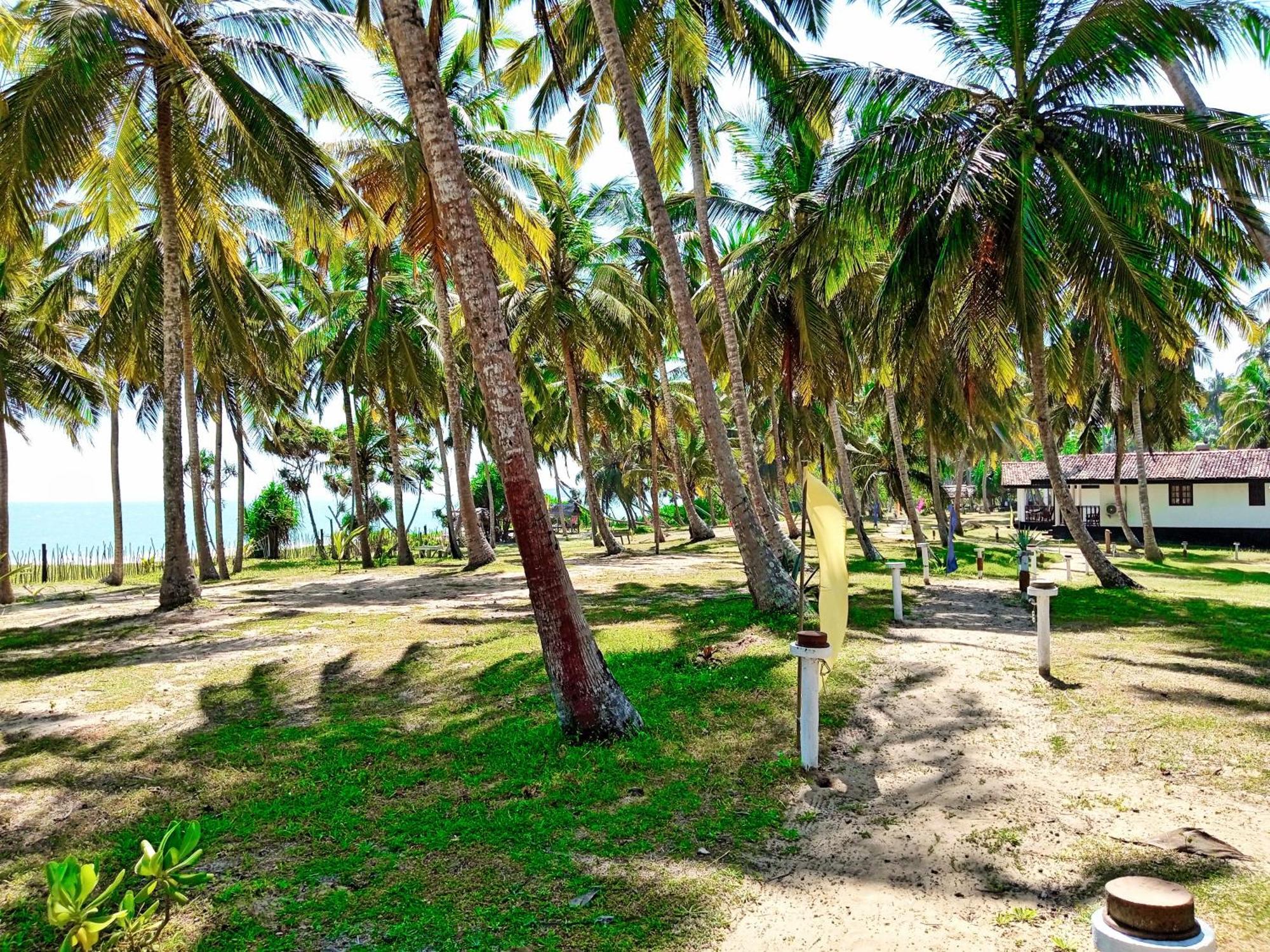 Helios Beach Resort Tangalle Zewnętrze zdjęcie